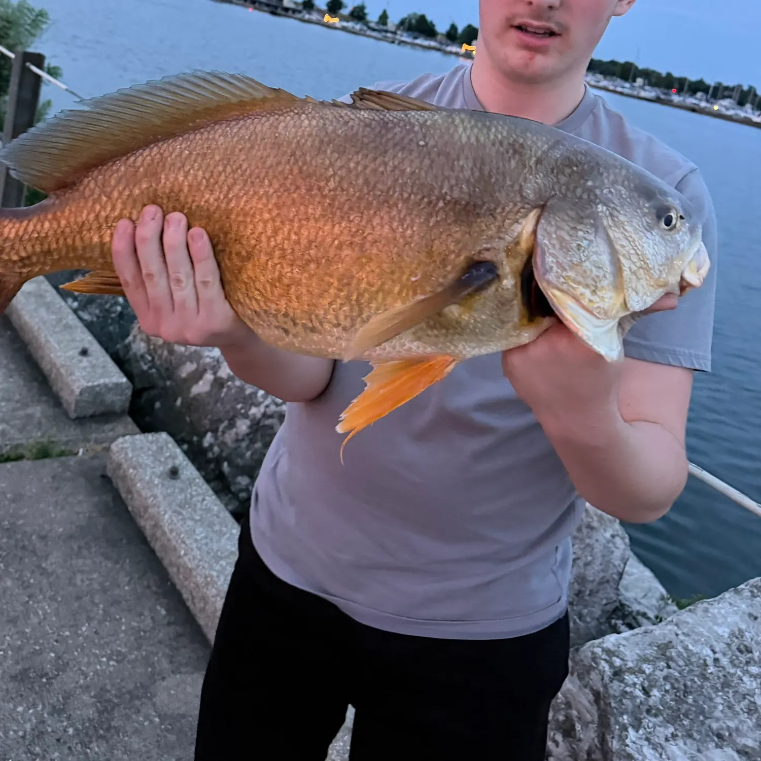 catch