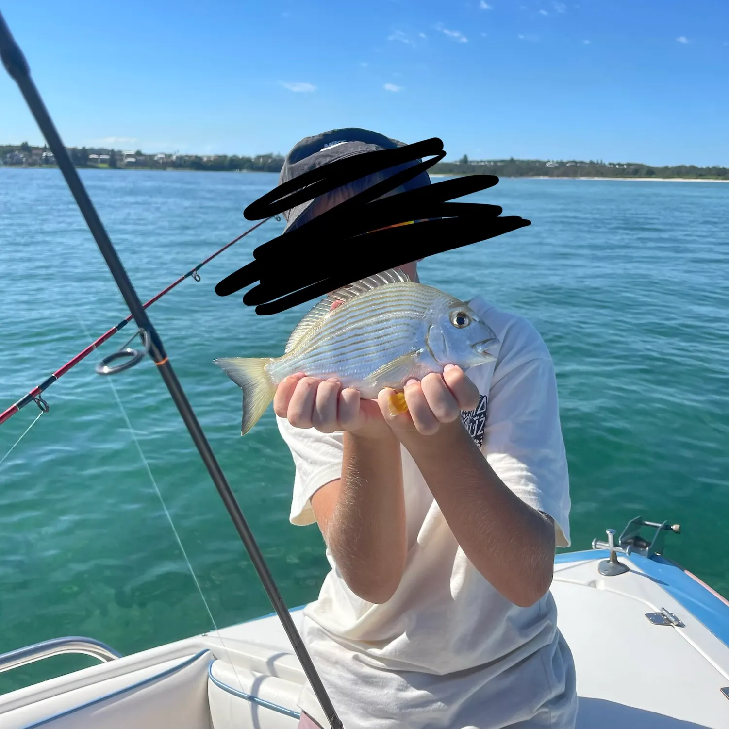 The most recent Goldlined seabream catches on Fishbrain