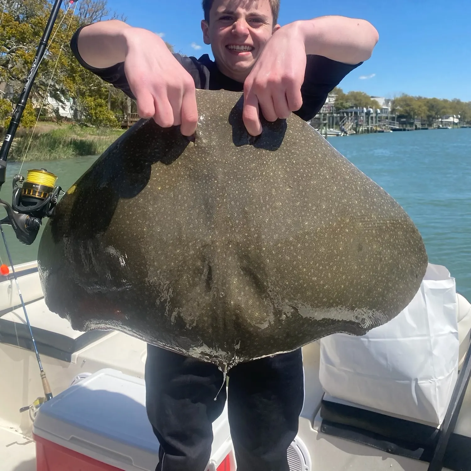 The most recent Backwater butterfly ray catches on Fishbrain
