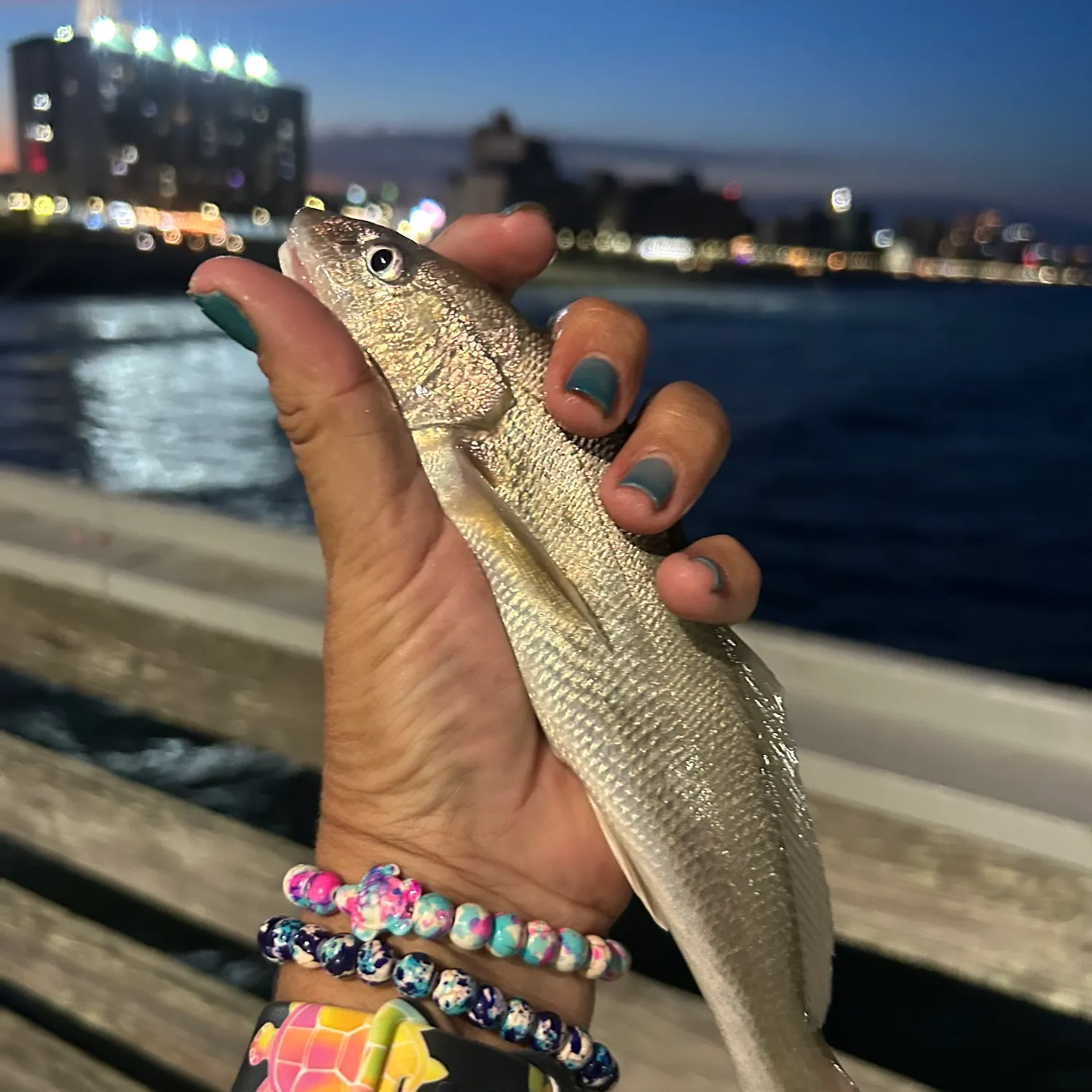 Gulf kingcroaker caught on Fishbrain