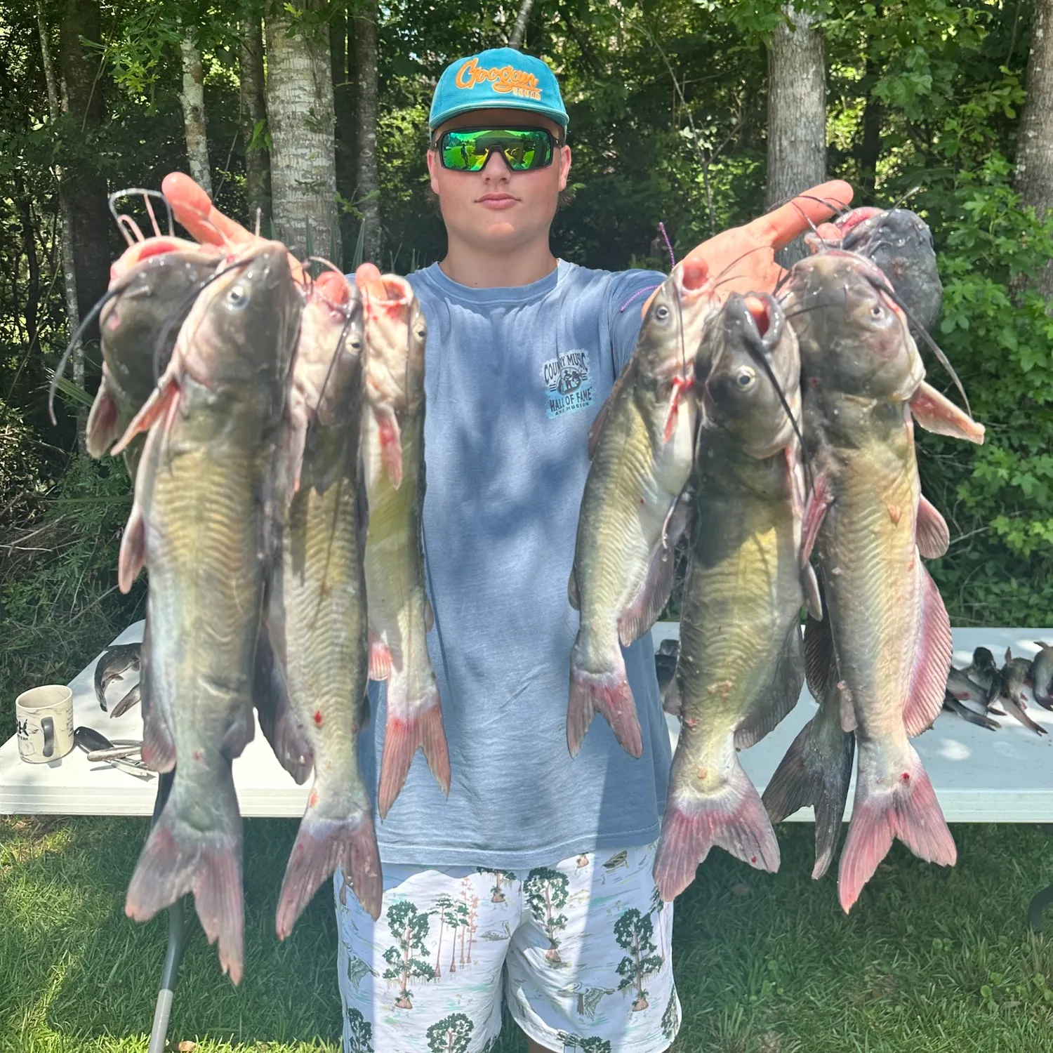 recently logged catches