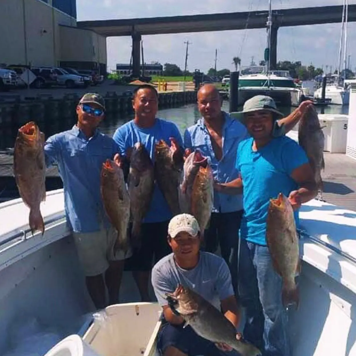 The most recent Gag grouper catches on Fishbrain