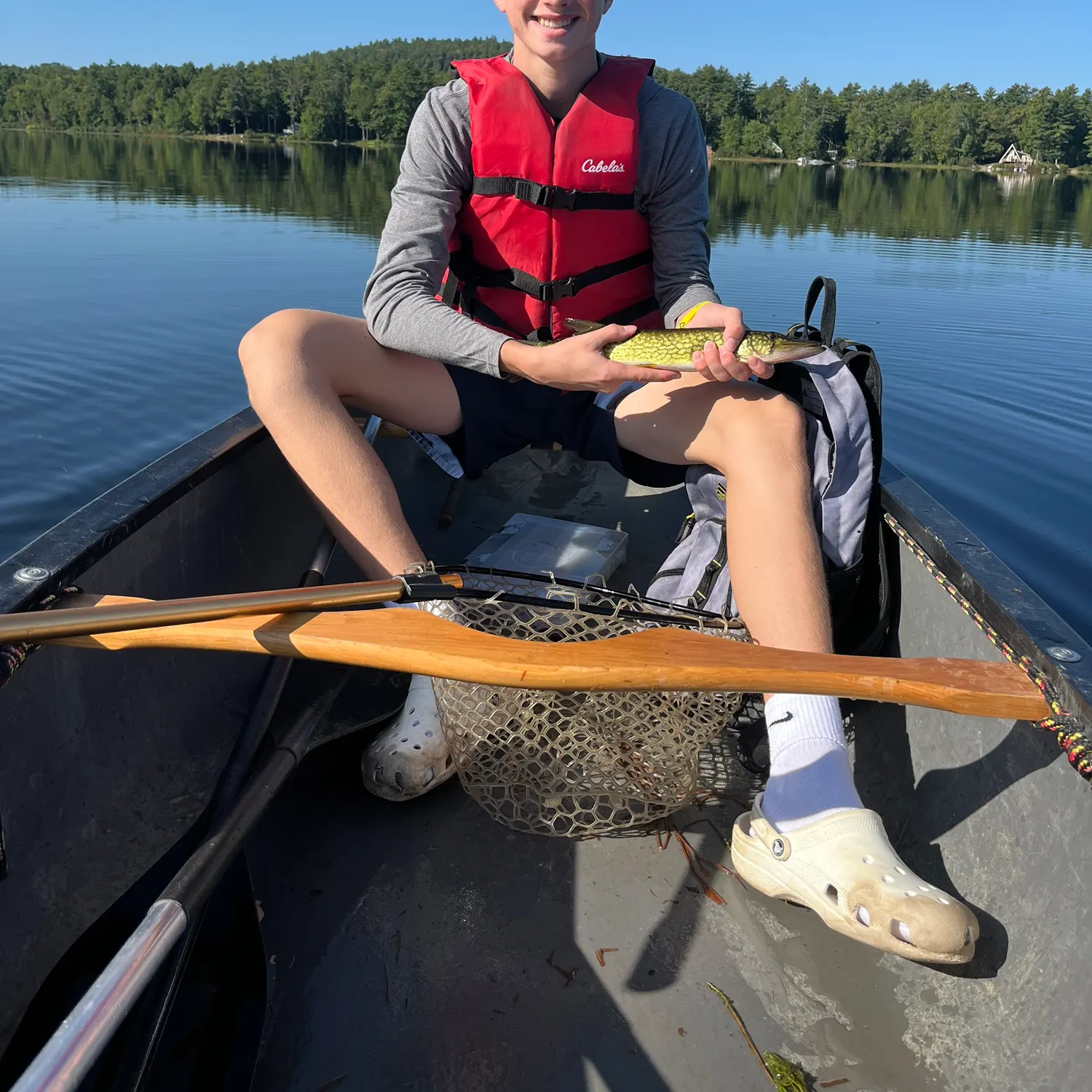 Chain pickerel caught on Fishbrain