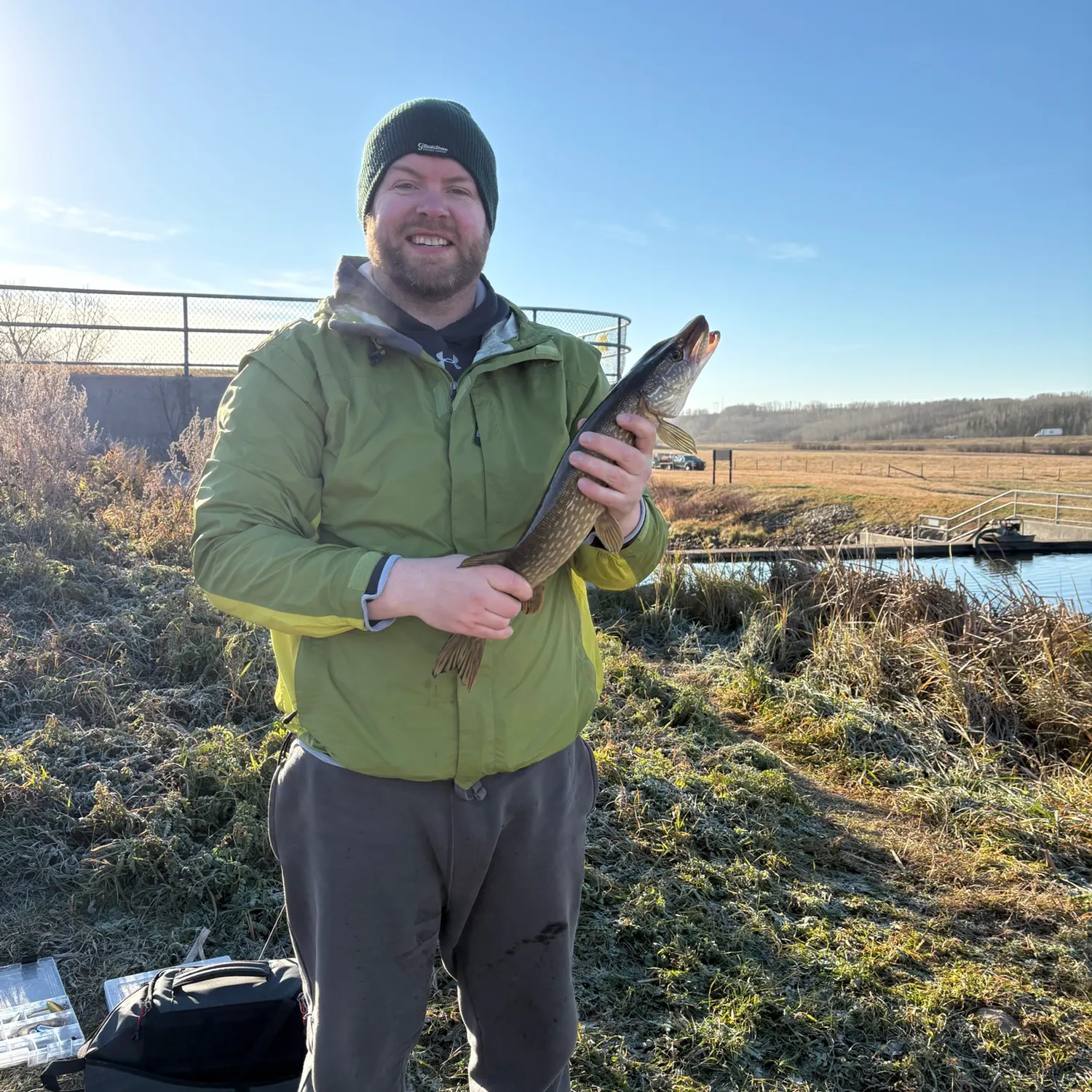 Northern pike caught on Fishbrain