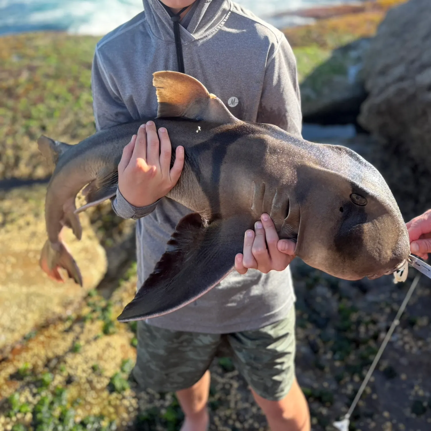 Fish caught on Fishbrain