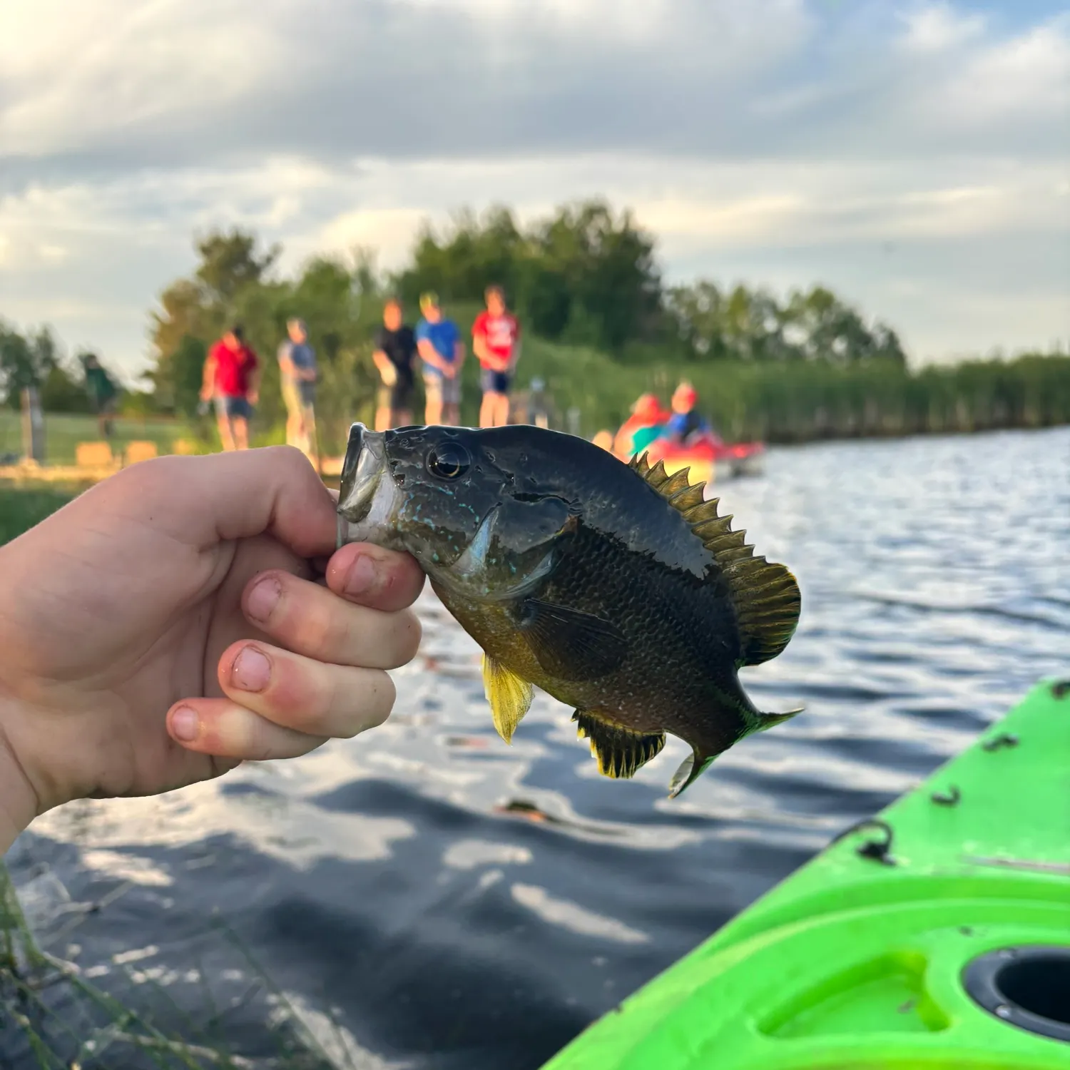 catch