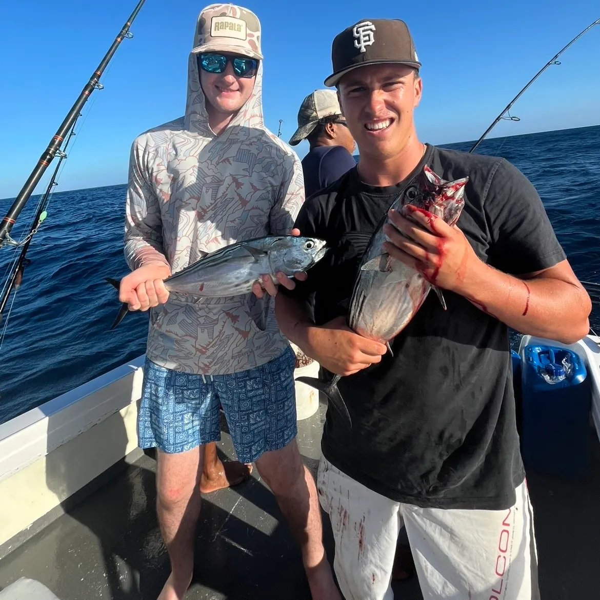 Skipjack tuna caught on Fishbrain