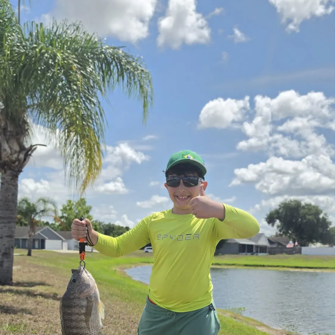 The most recent Nile tilapia catches on Fishbrain