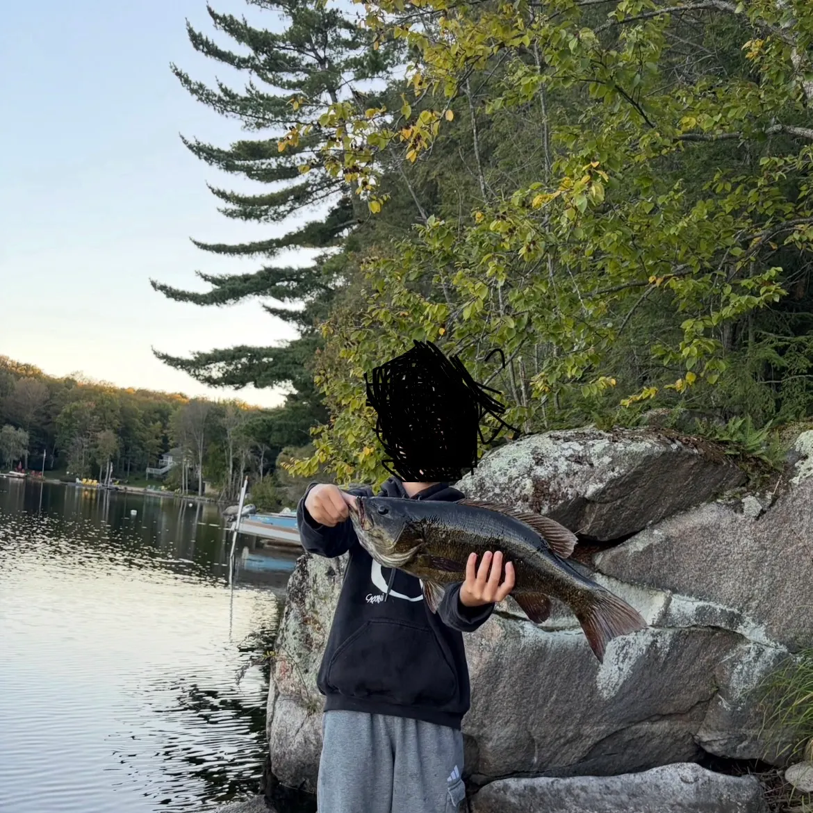 Smallmouth bass caught on Fishbrain