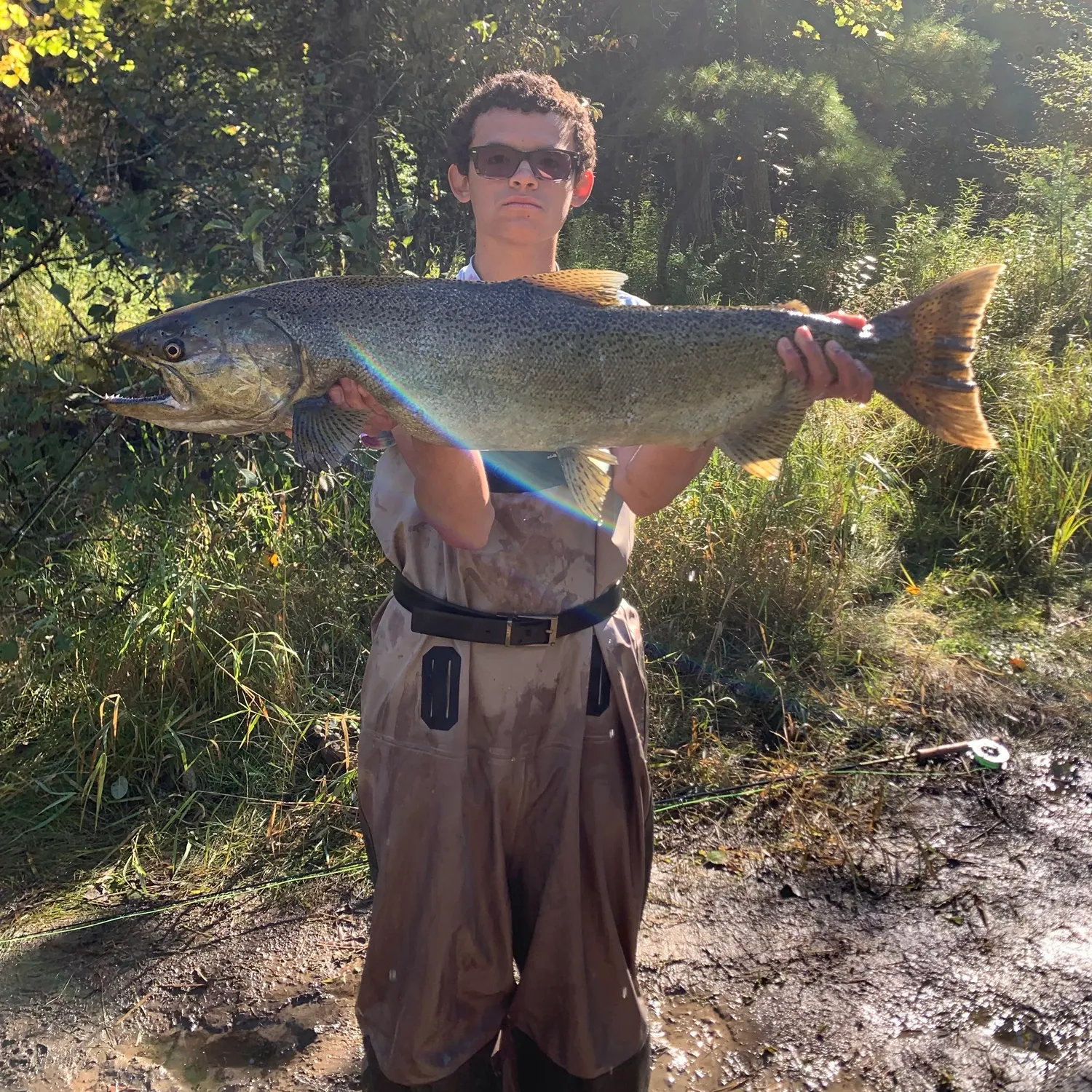 Chinook salmon caught on Fishbrain