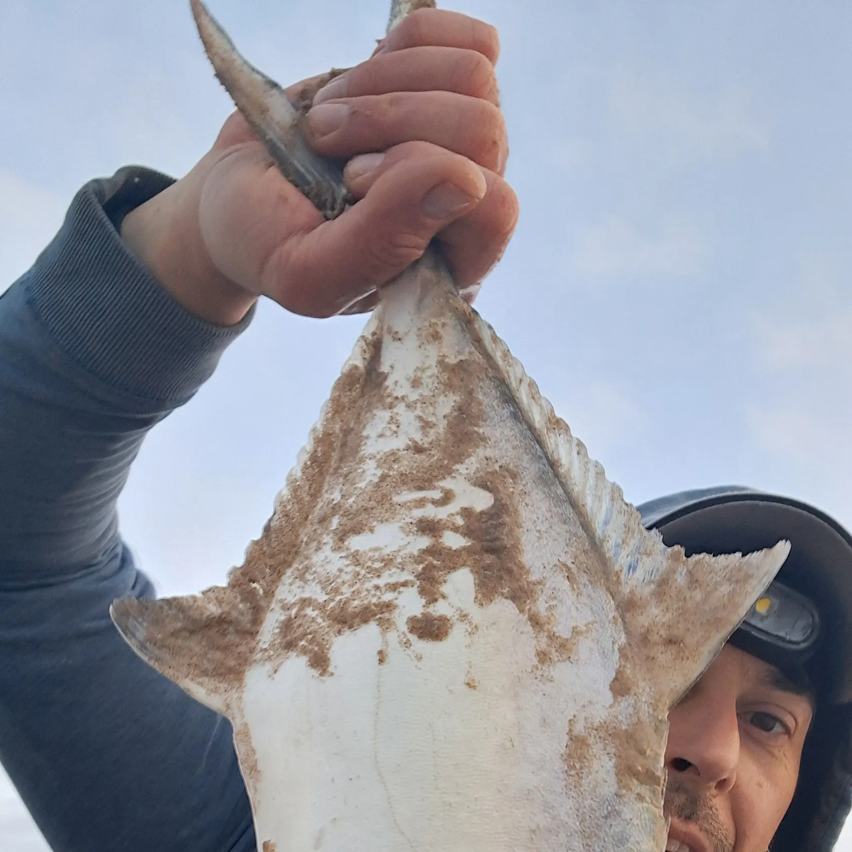 The most recent Leerfish catches on Fishbrain