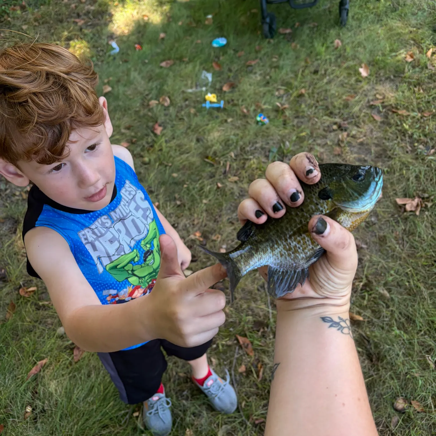 Bluegill caught on Fishbrain
