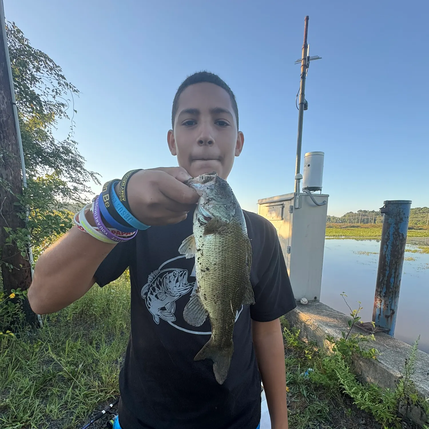Largemouth bass caught on Fishbrain
