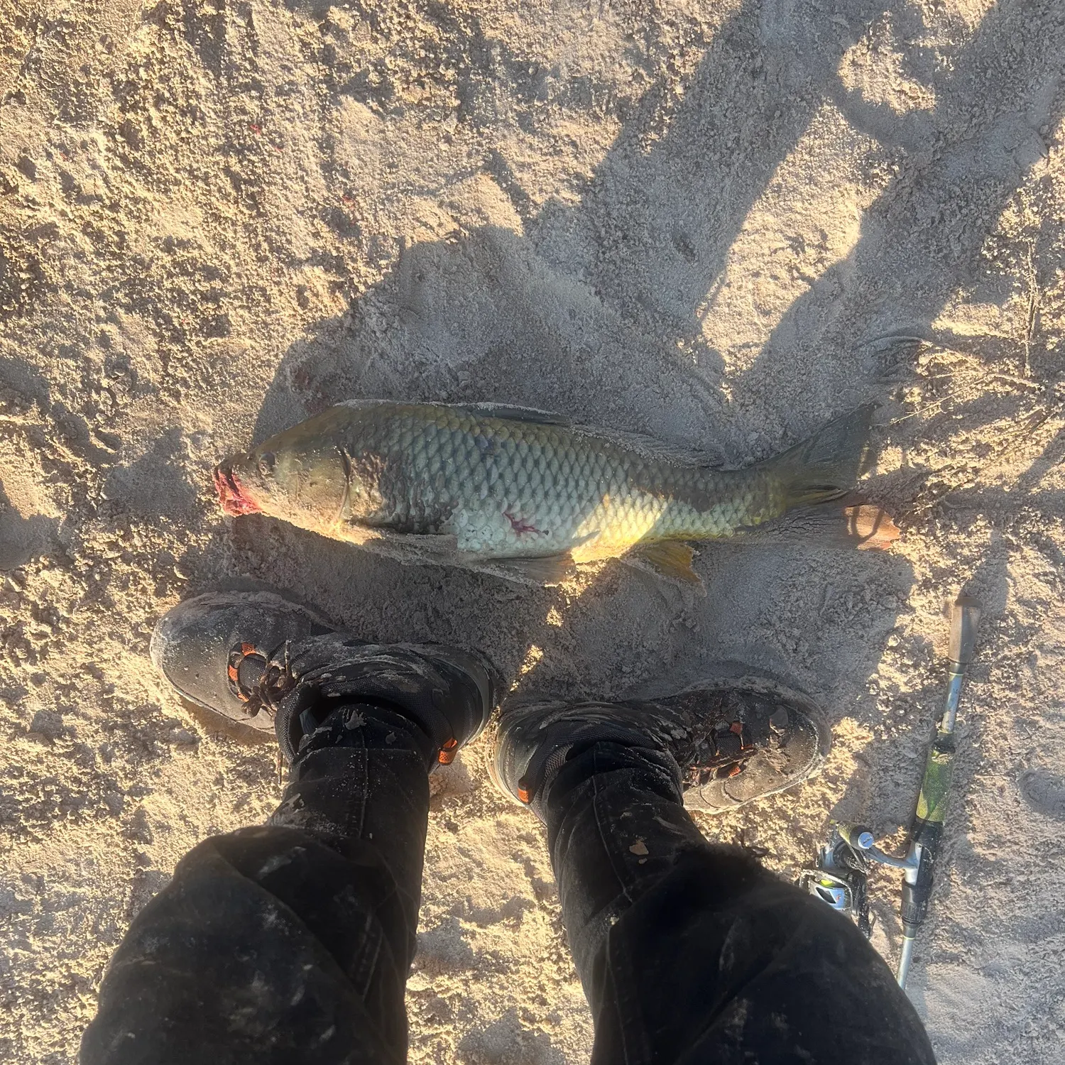 catch