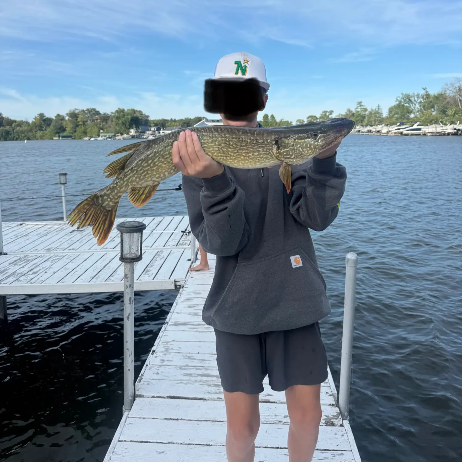 Northern pike caught on Fishbrain