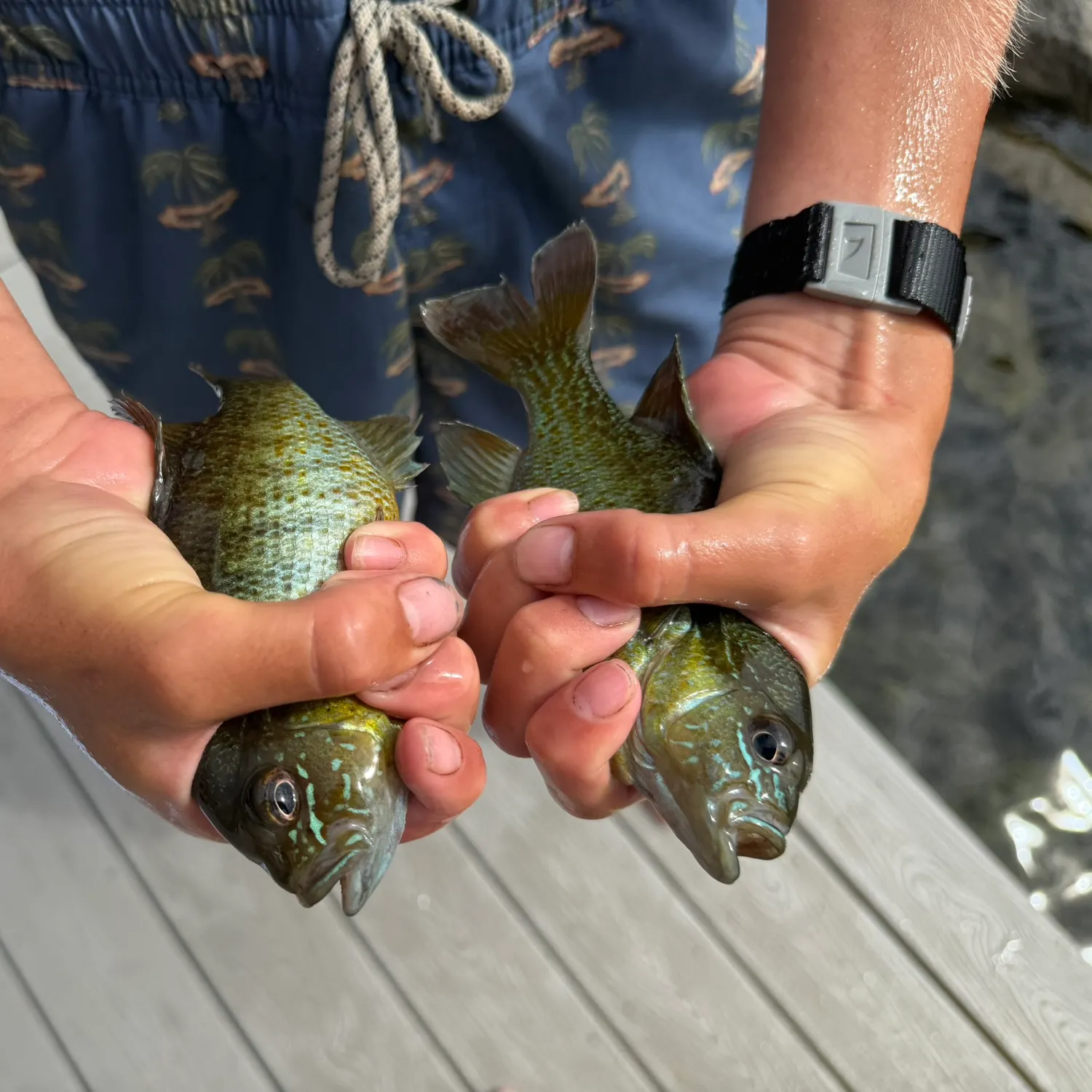 catch