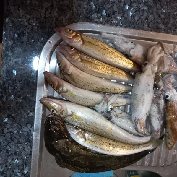 The most recent King George whiting catches on Fishbrain
