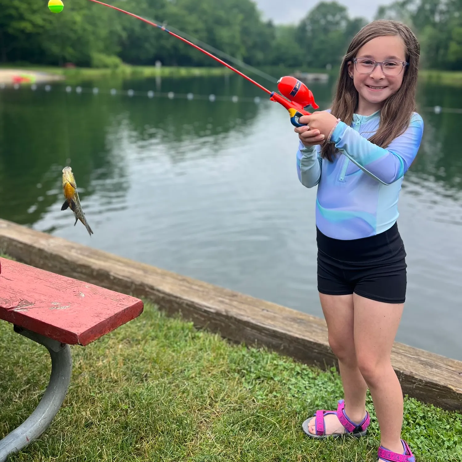 Bluegill caught on Fishbrain