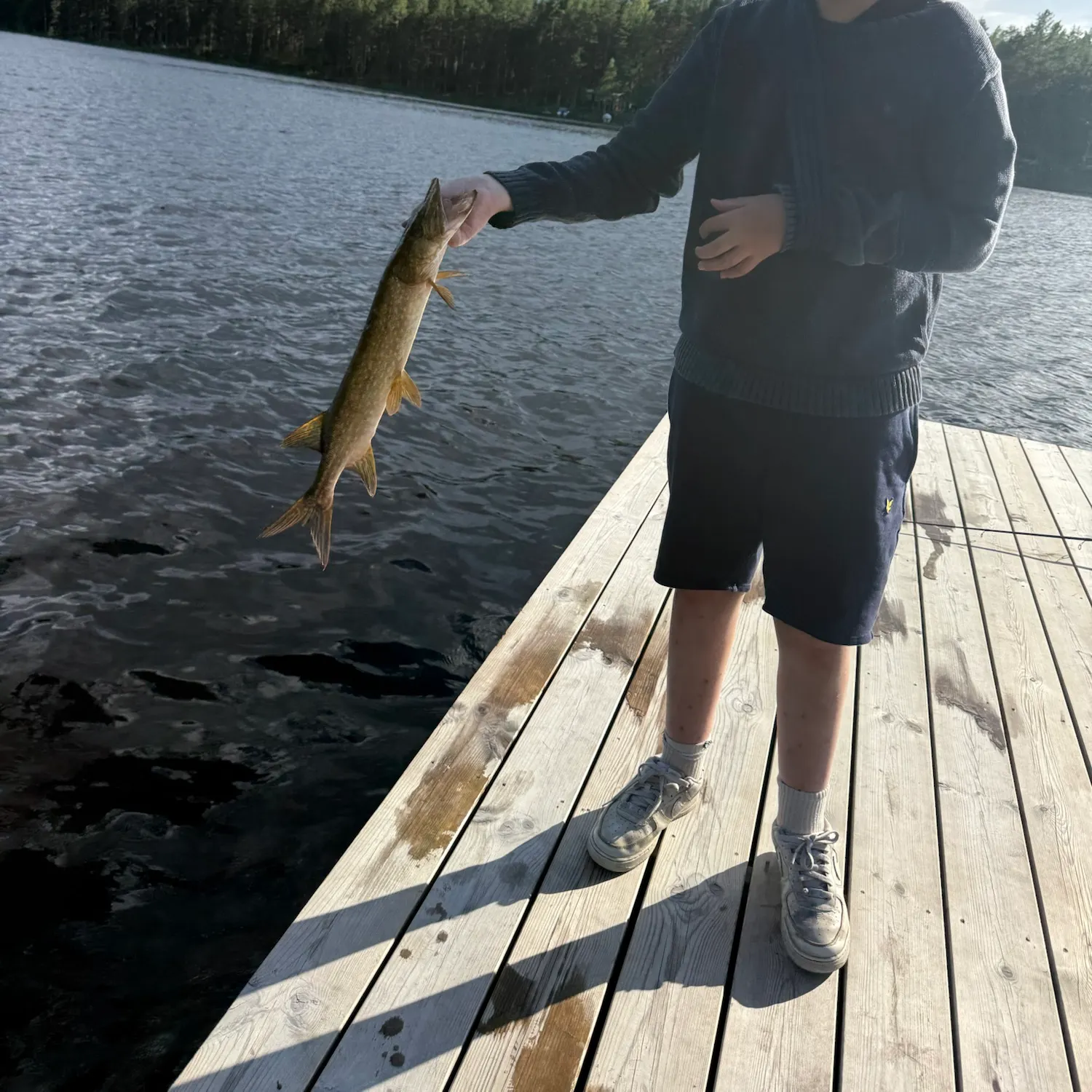 Northern pike caught on Fishbrain
