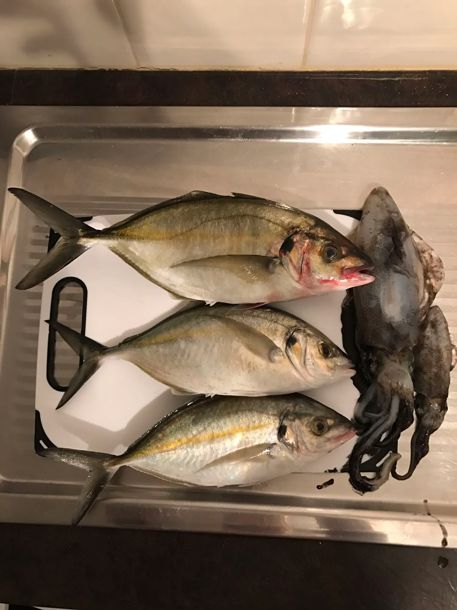 Post image from lrandalls