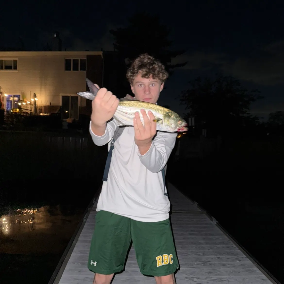 Bluefish caught on Fishbrain