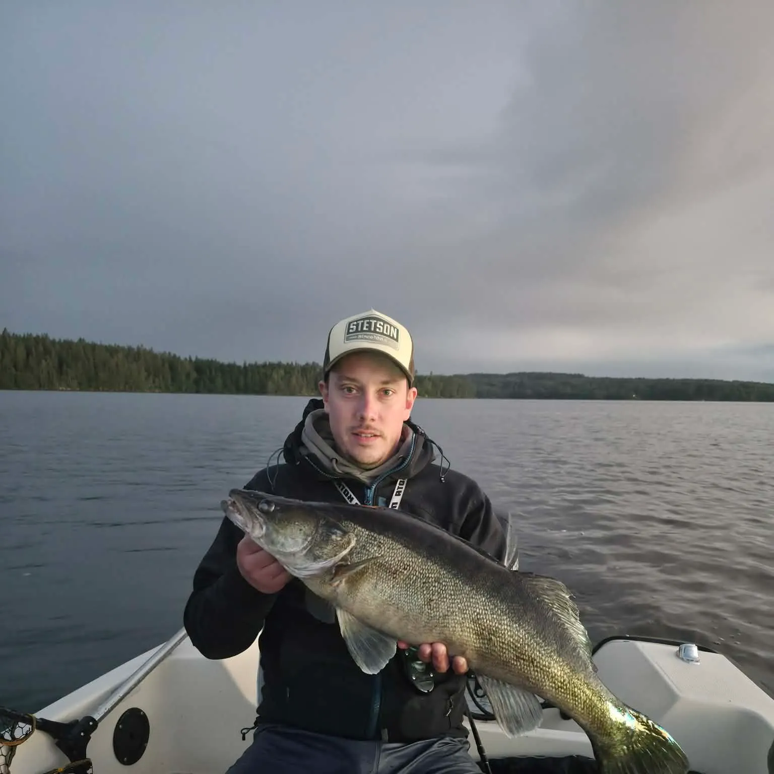 Zander caught on Fishbrain