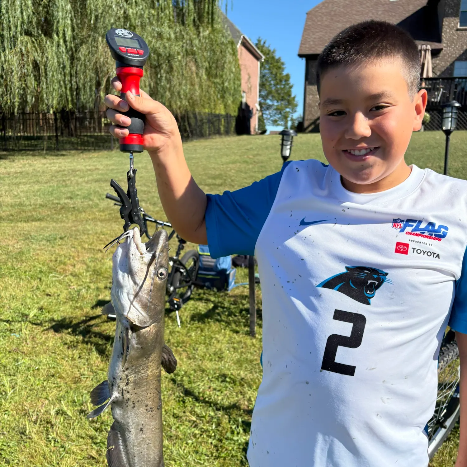 Channel catfish caught on Fishbrain