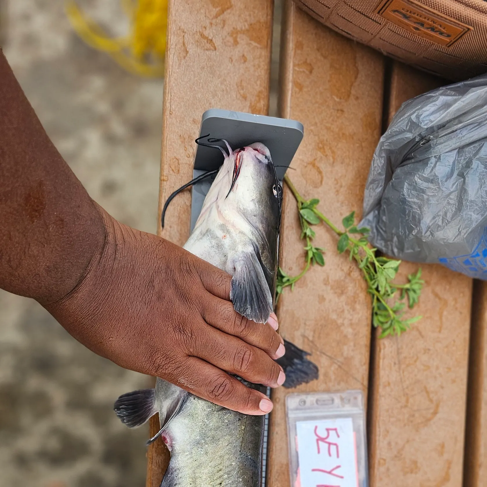 catch