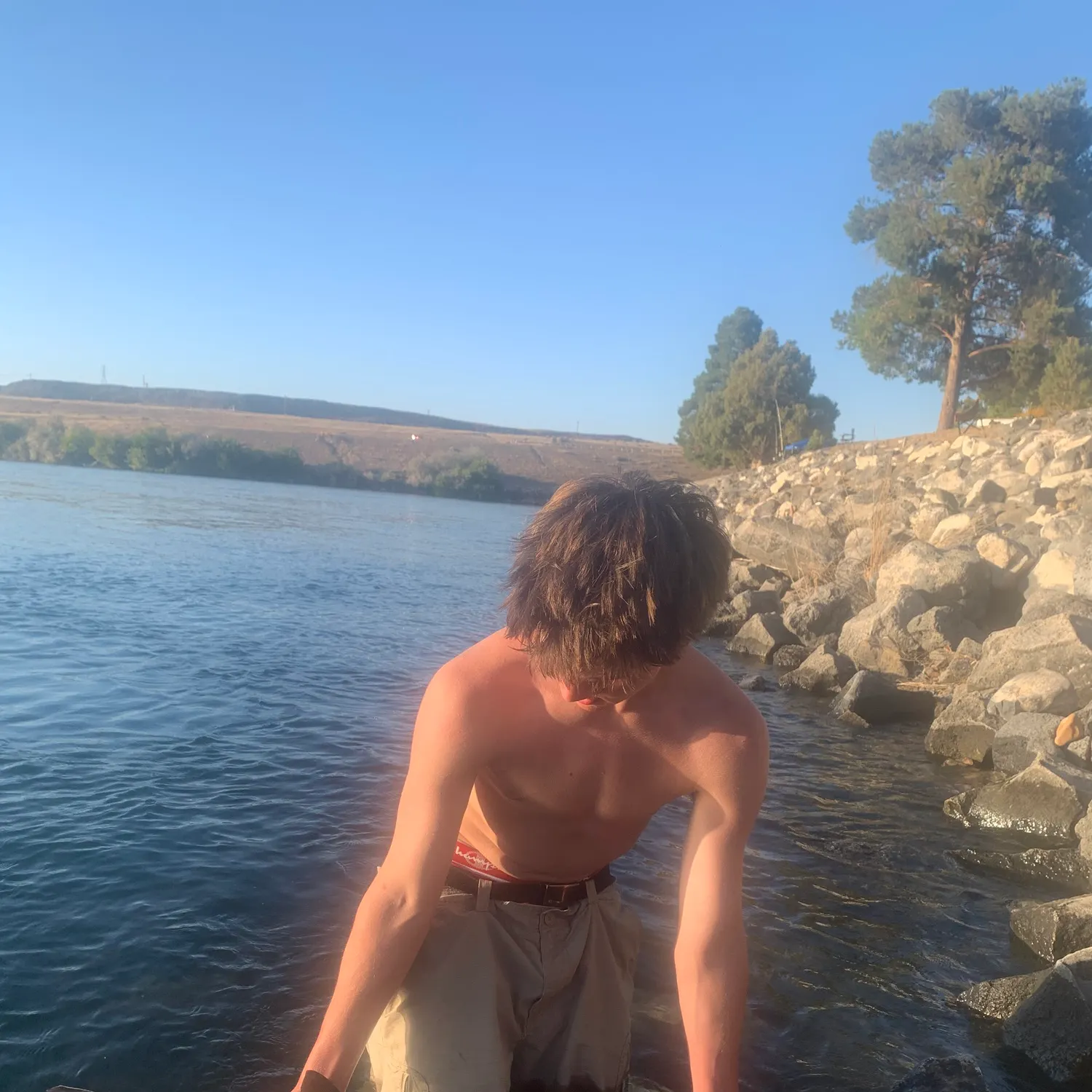 White sturgeon caught on Fishbrain
