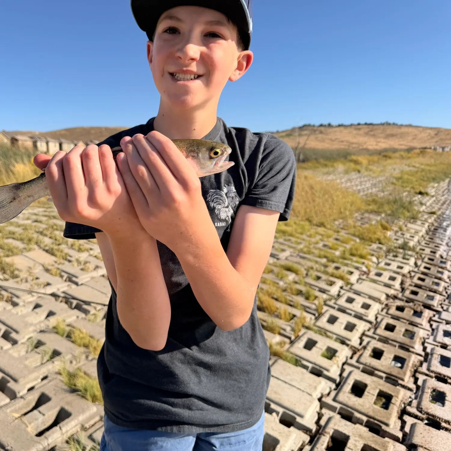Rainbow trout caught on Fishbrain