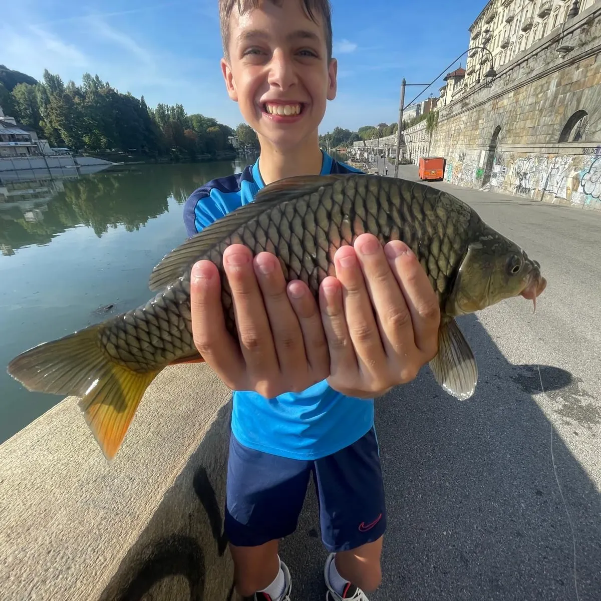Common carp caught on Fishbrain