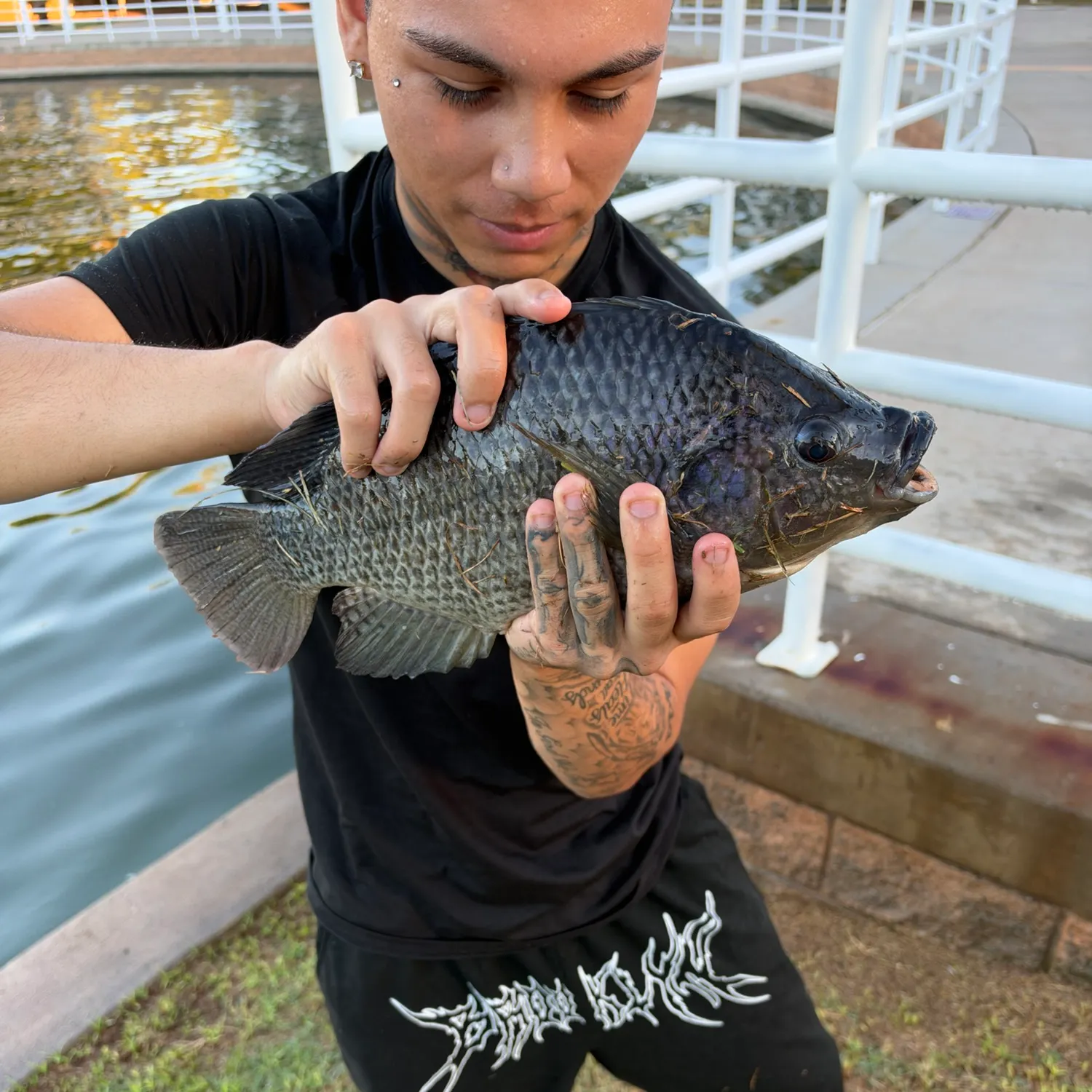 Nile tilapia caught on Fishbrain