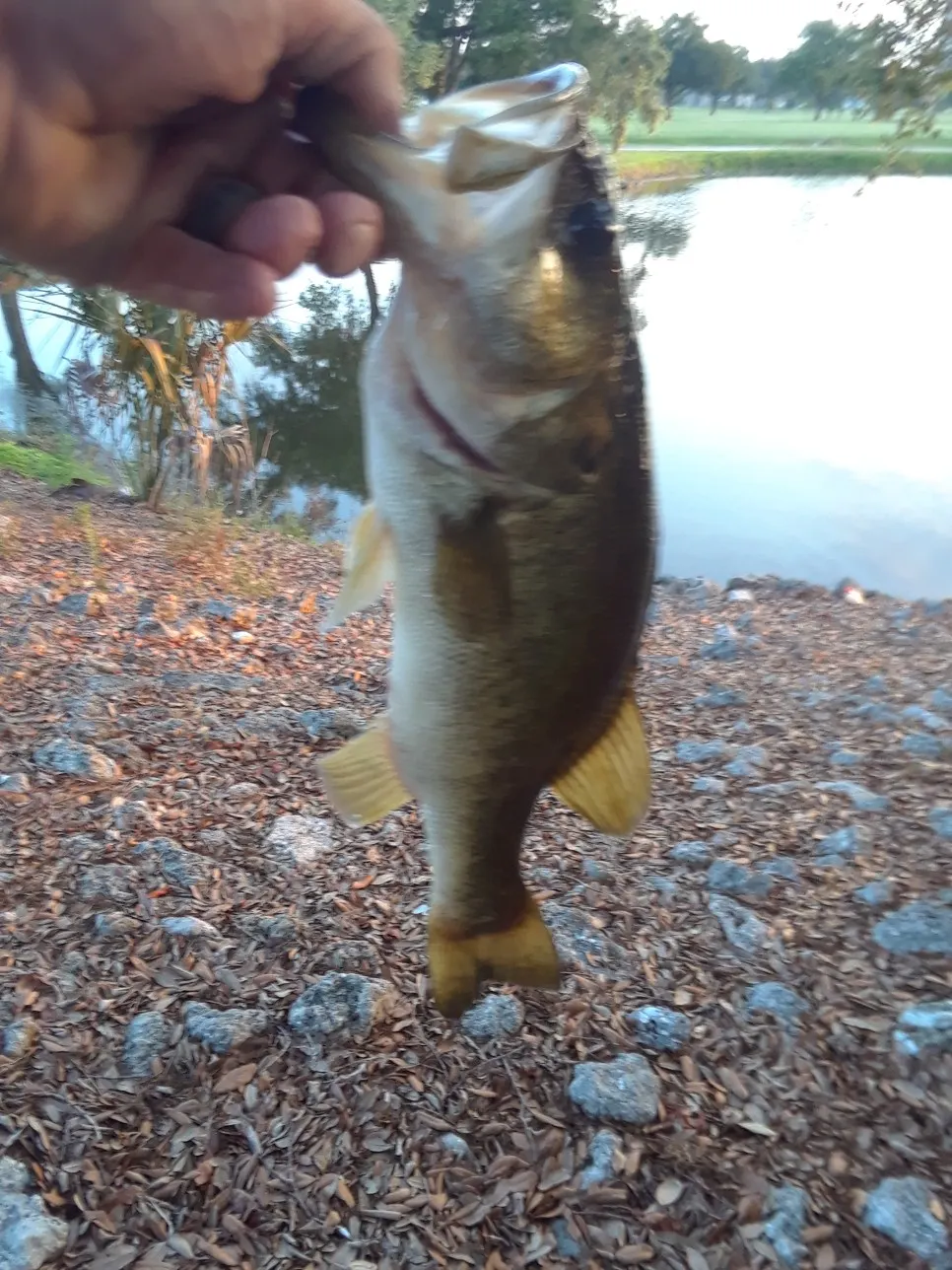 Post image from jacob.middleton