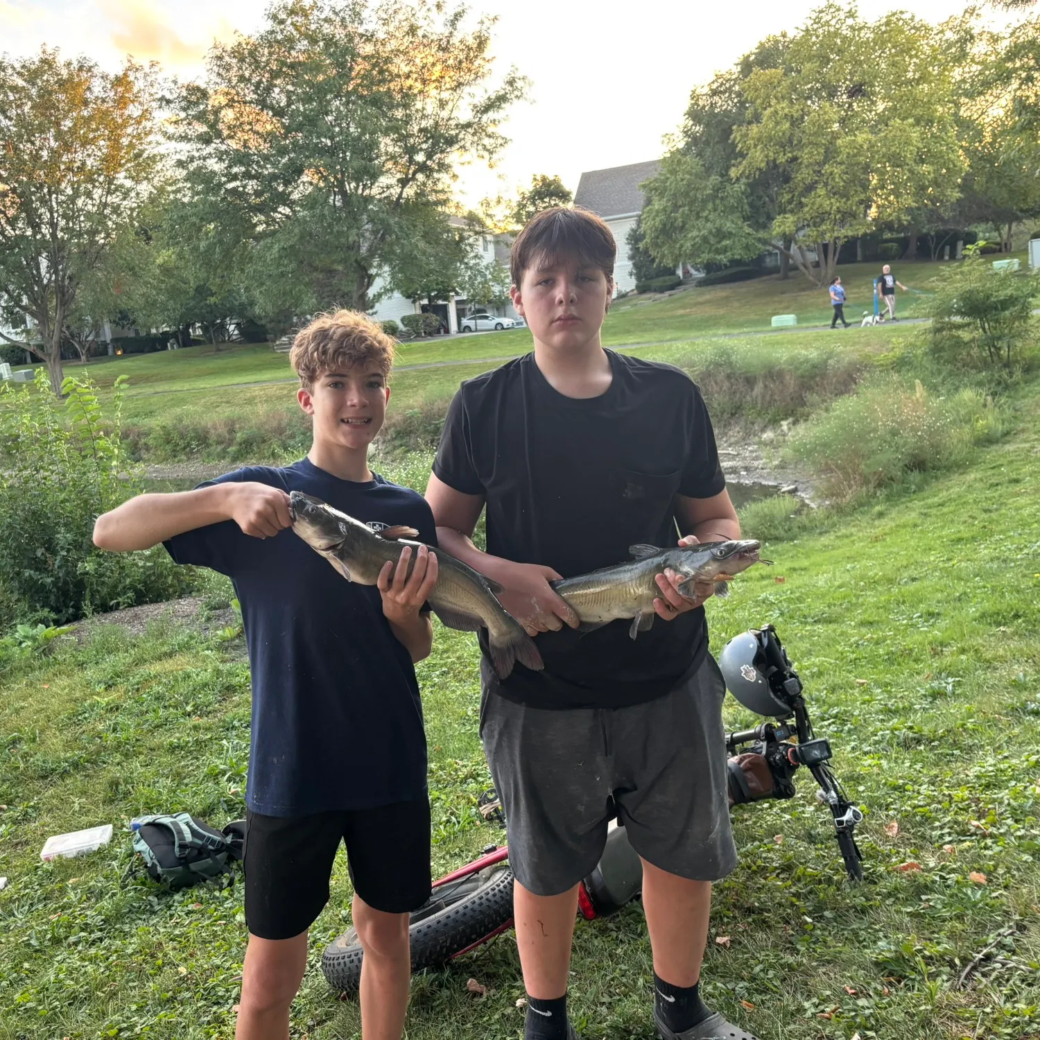 Channel catfish caught on Fishbrain
