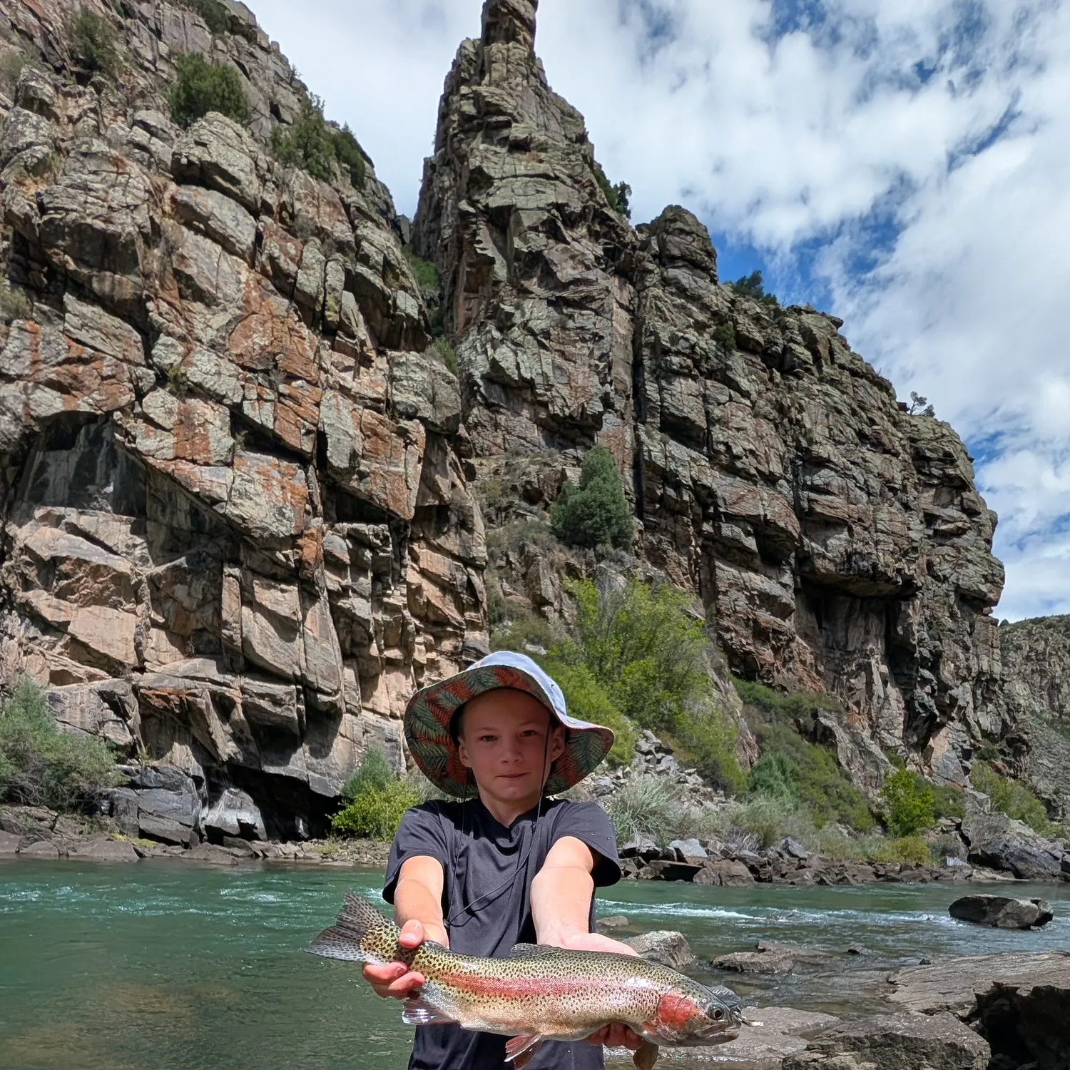 Rainbow trout caught on Fishbrain