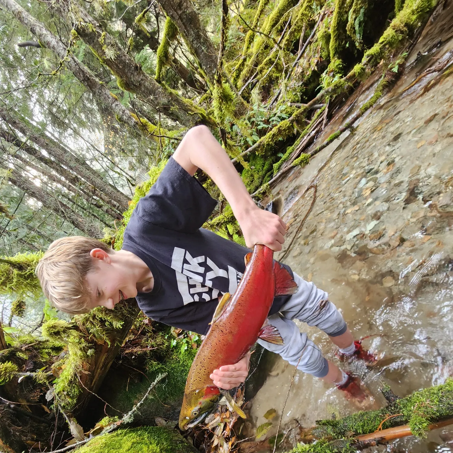 The most recent Sockeye salmon catches on Fishbrain