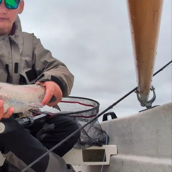 Rainbow trout caught on Fishbrain