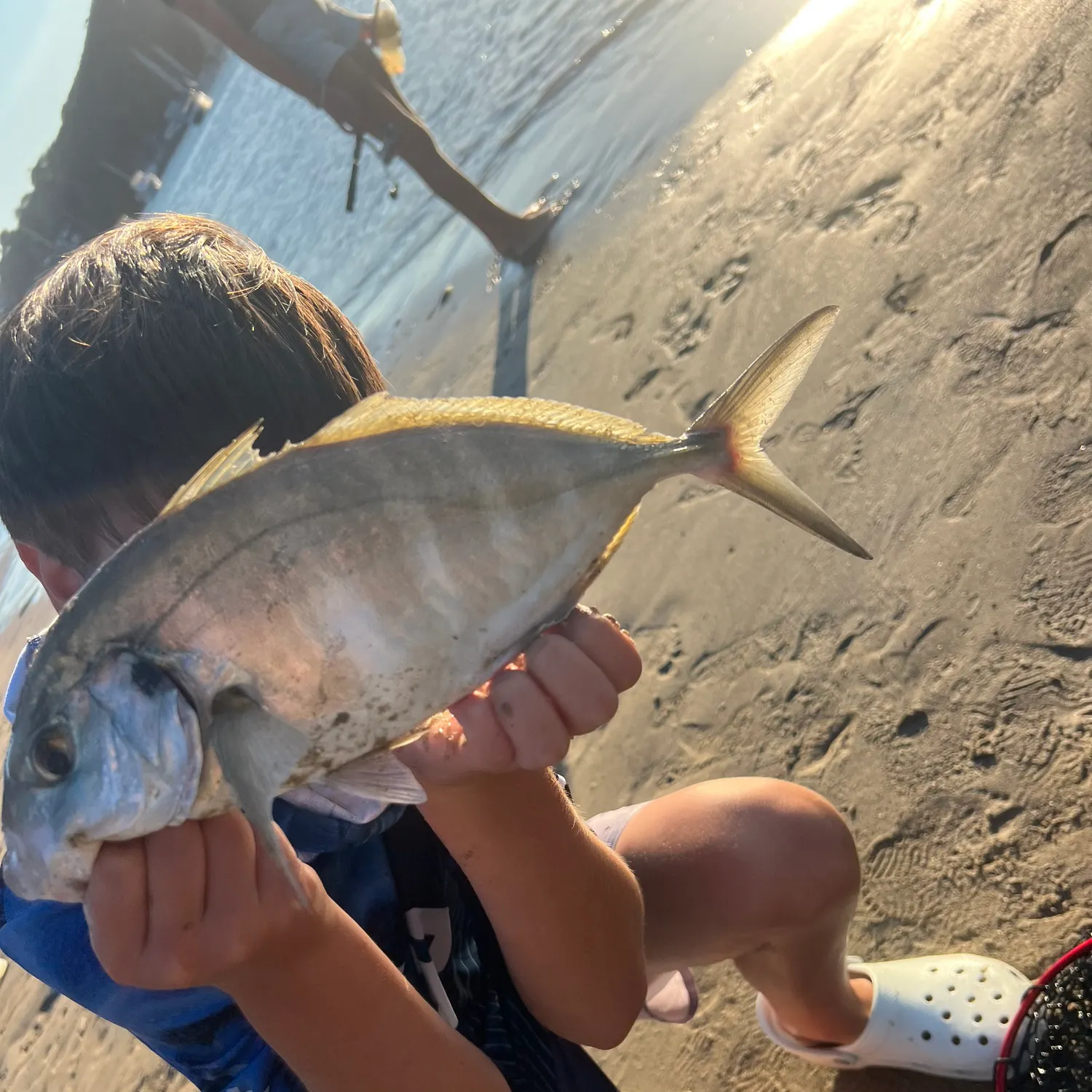 The most recent White trevally catches on Fishbrain