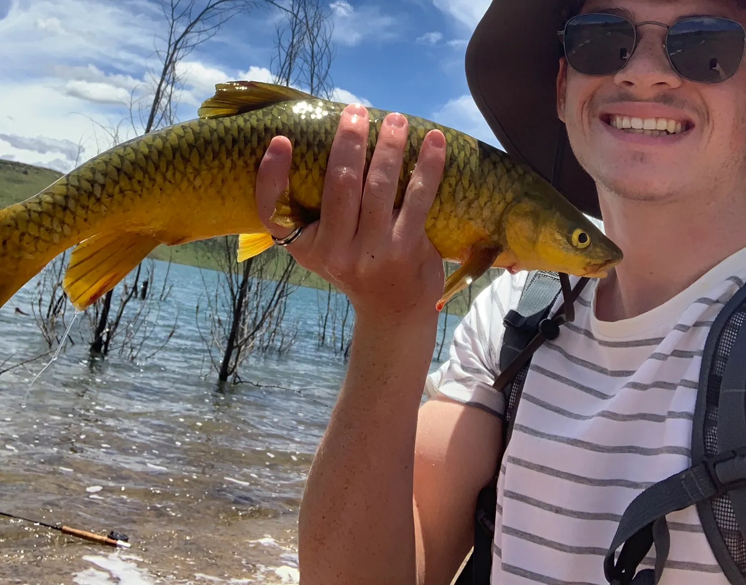 Smallmouth yellowfish