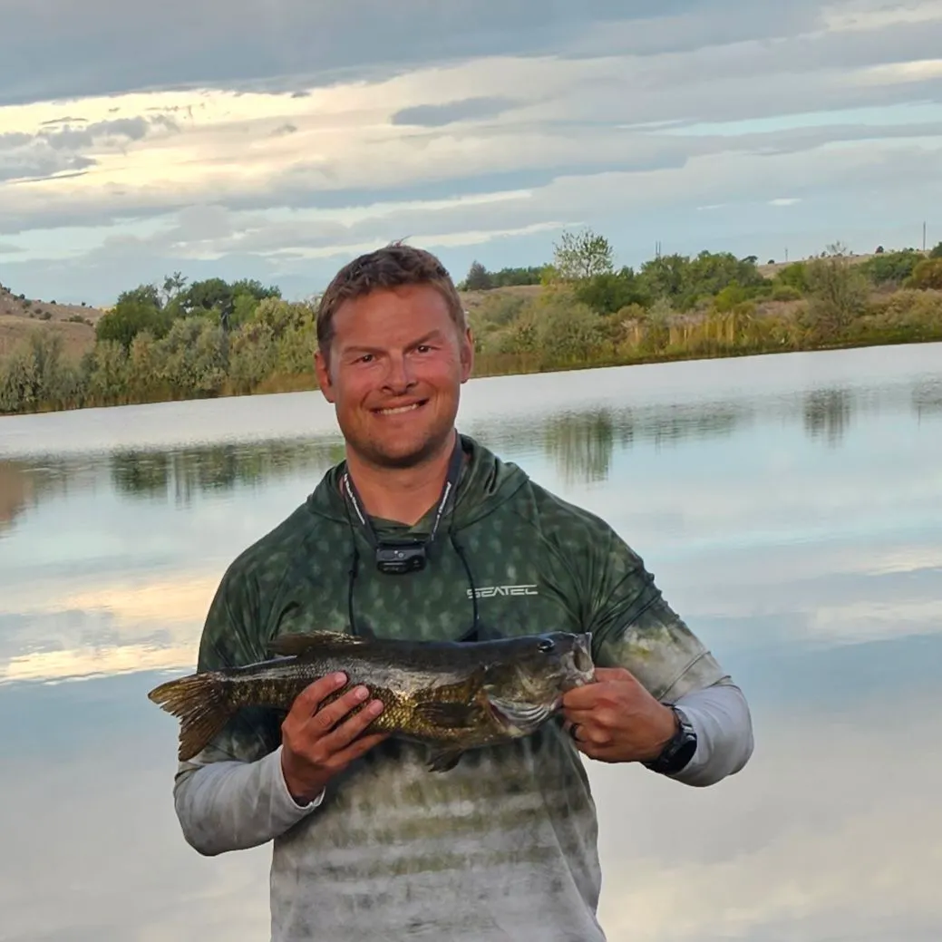 Smallmouth bass caught on Fishbrain