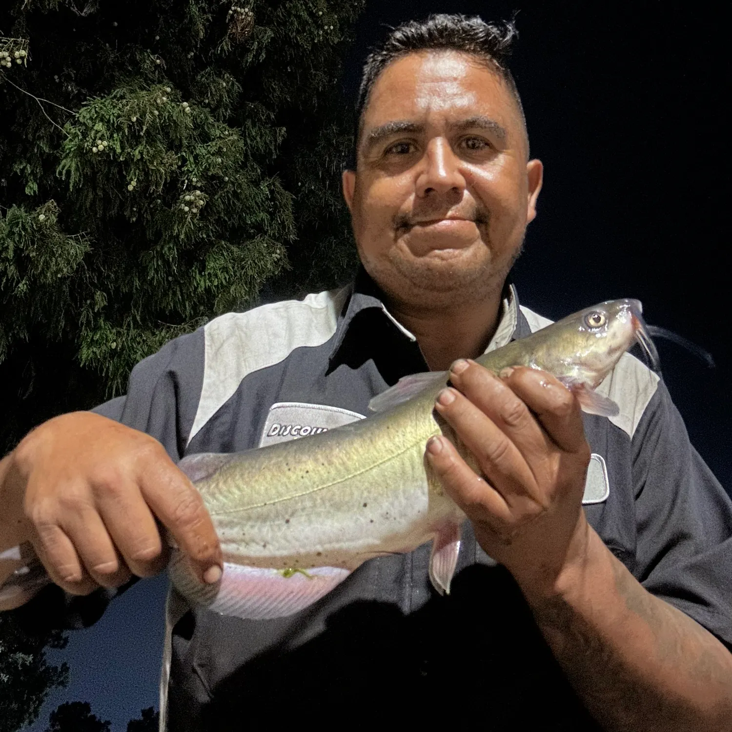 Channel catfish caught on Fishbrain