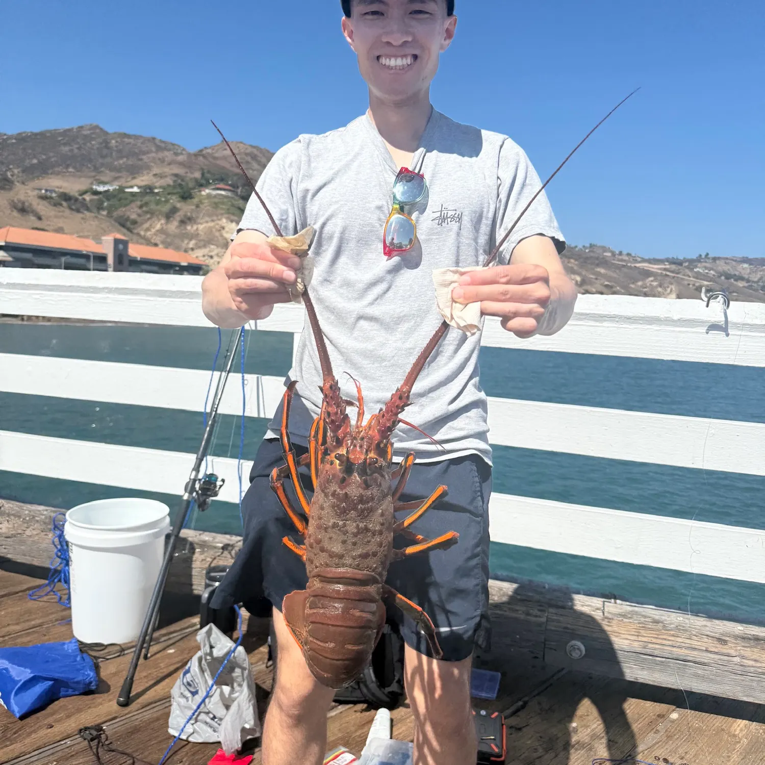 California spiny lobster caught on Fishbrain