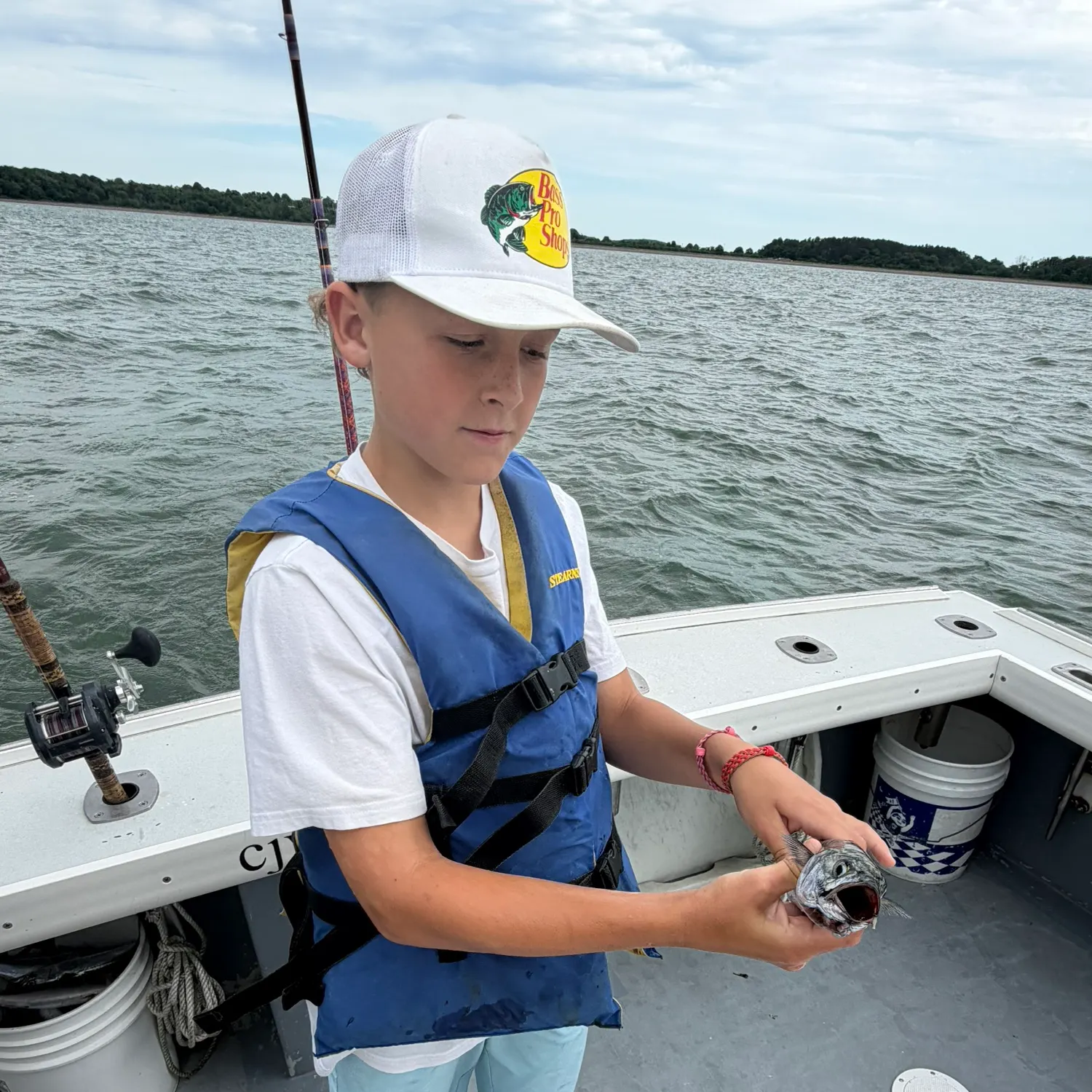 The most recent Atlantic mackerel catches on Fishbrain