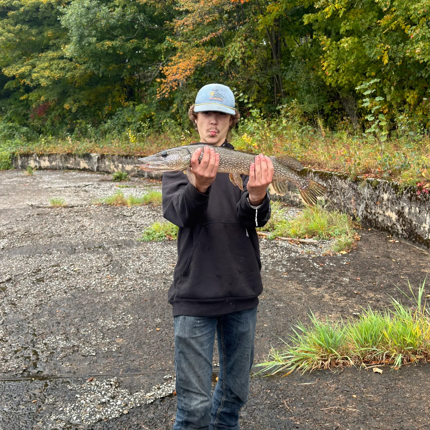 Northern pike caught on Fishbrain
