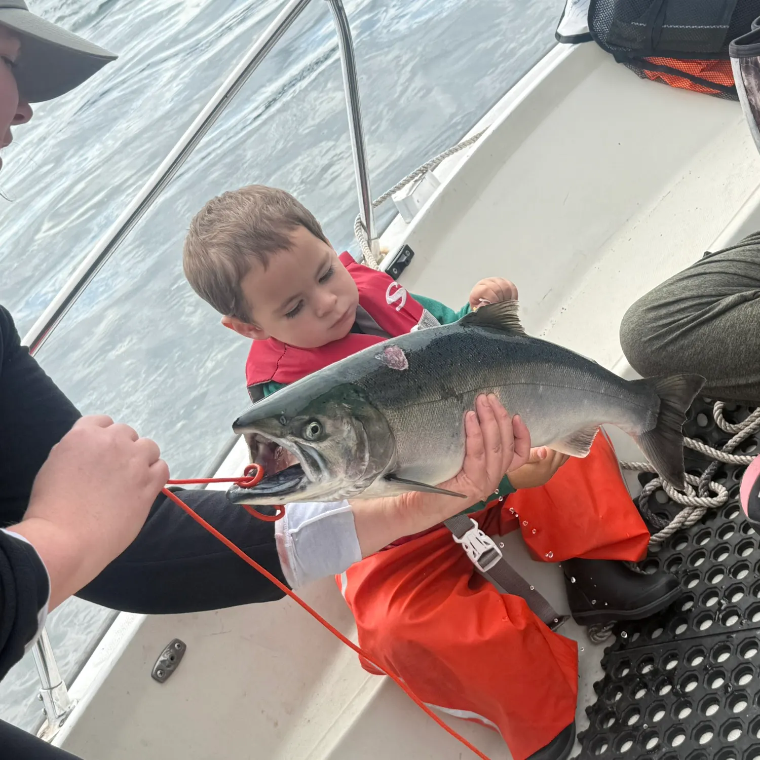 Coho salmon caught on Fishbrain
