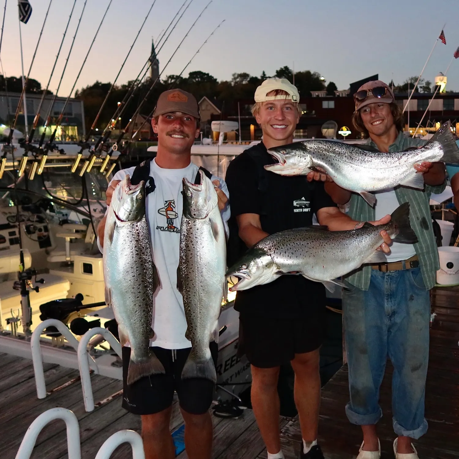 The most recent Sea trout catches on Fishbrain
