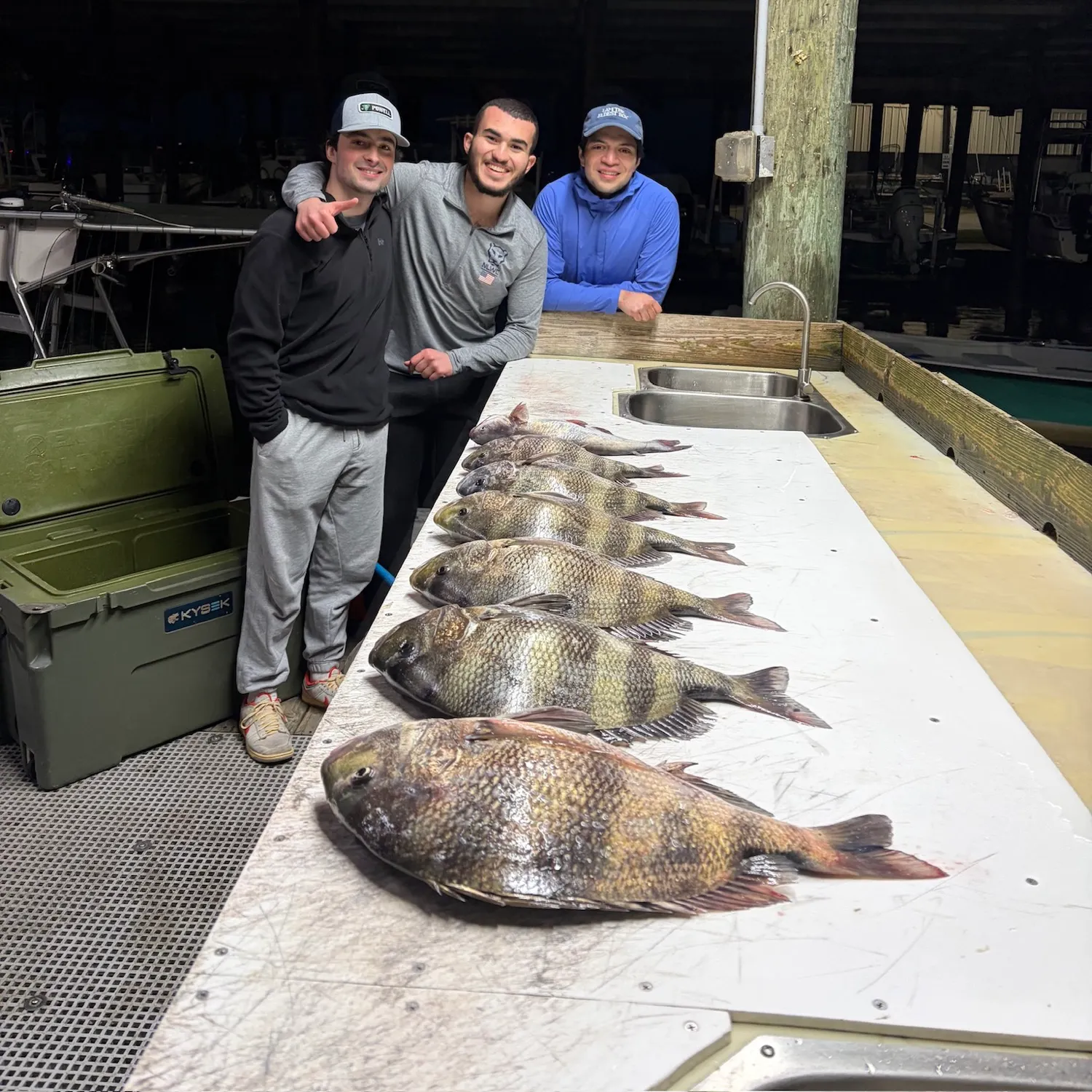 The most recent Sheepshead catches on Fishbrain