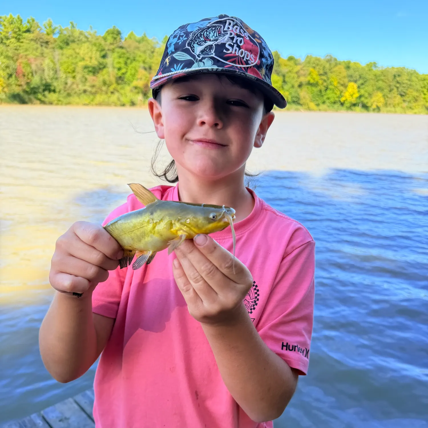 Yellow bullhead caught on Fishbrain