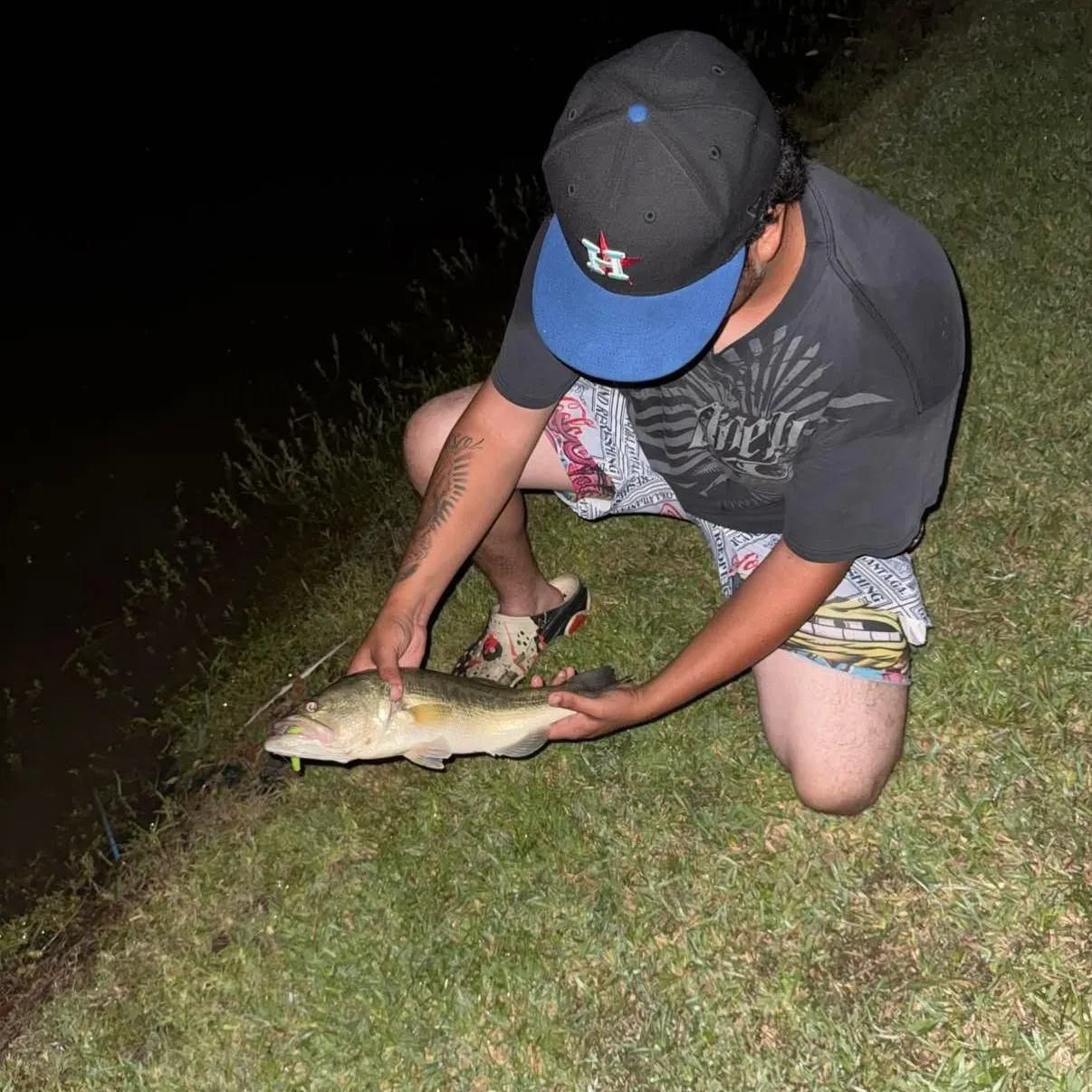 Largemouth bass caught on Fishbrain