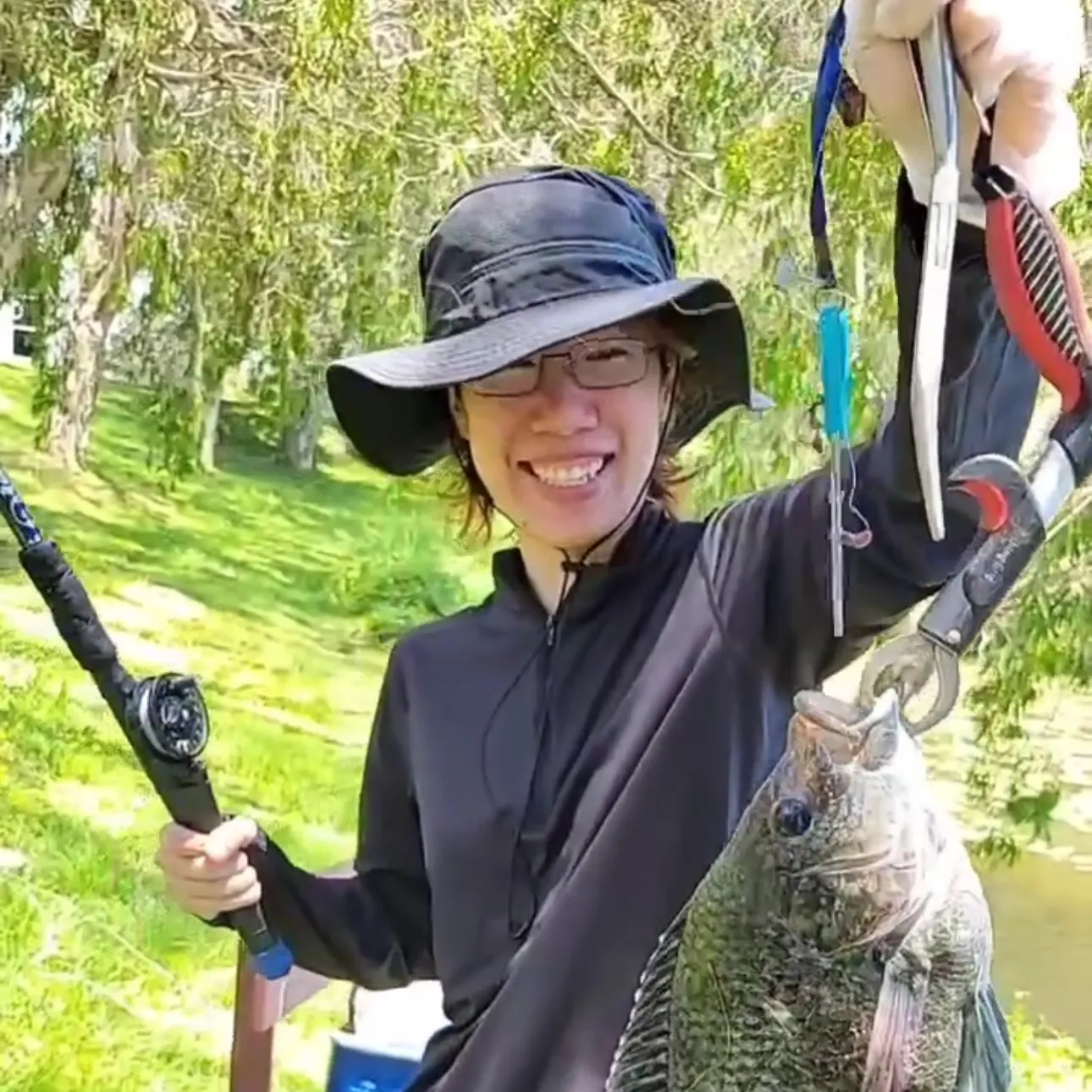 The most recent Mozambique tilapia catches on Fishbrain